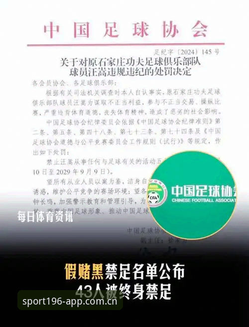 体育官方 资深用户分享:从足协第三批禁足名单看中国足球的“新秩序”重建
