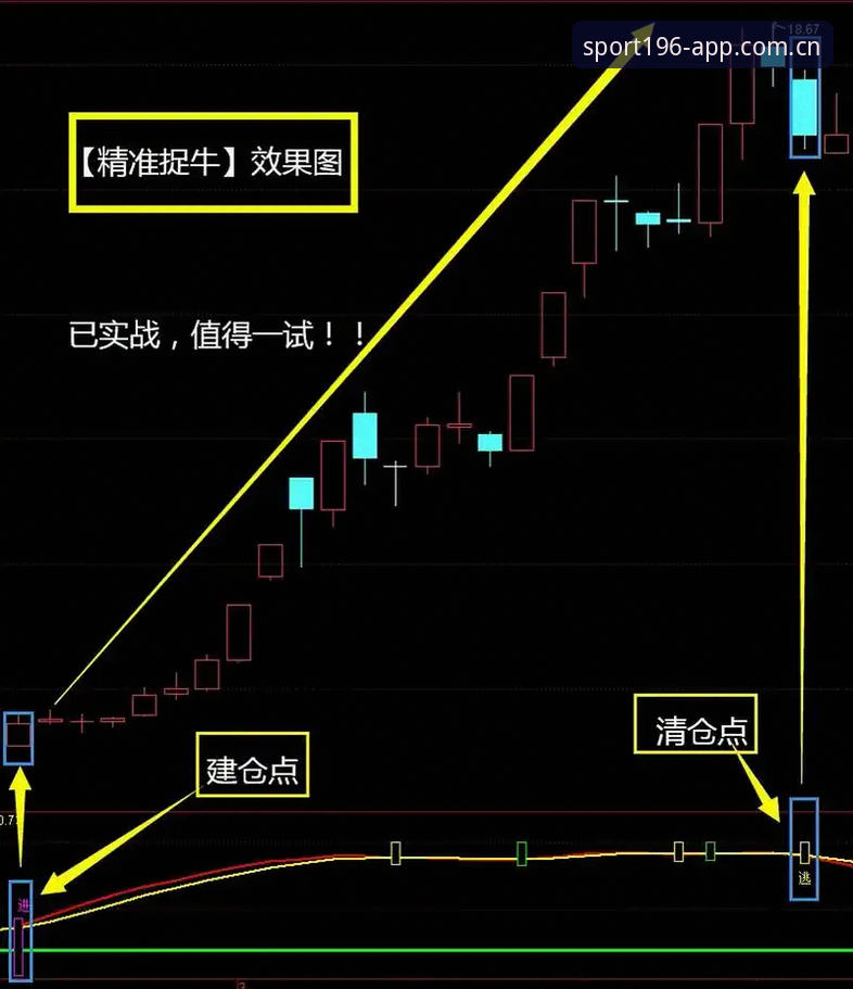 体育精准捕捉 从观望到掌控:体育精准捕捉的五大实用技巧
